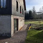 Hautes Vosges - Ecrin De Nature - Gerardmer * 勒索里