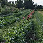 公寓 Hautes Vosges - Ecrin De Nature - Gerardmer