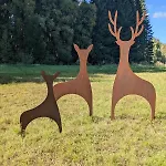 公寓 Hautes Vosges - Ecrin De Nature - Gerardmer