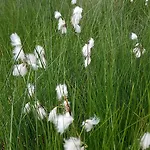 公寓 Hautes Vosges - Ecrin De Nature - Gerardmer