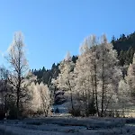 Hautes Vosges - Ecrin De Nature - Gerardmer