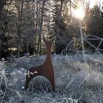 Hautes Vosges - Ecrin De Nature - Gerardmer 公寓