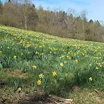 Hautes Vosges - Ecrin De Nature - Gerardmer 勒索里