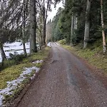 Hautes Vosges - Ecrin De Nature - Gerardmer 公寓 勒索里