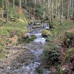 Hautes Vosges - Ecrin De Nature - Gerardmer 公寓