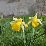 Hautes Vosges - Ecrin De Nature - Gerardmer * 勒索里