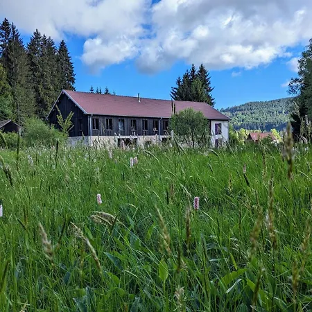 Hautes Vosges - Ecrin De Nature - Gerardmer * Le Tholy