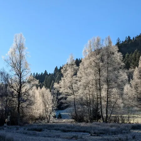 Hautes Vosges - Ecrin De Nature - Gerardmer