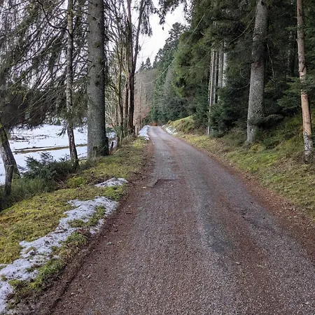 Hautes Vosges - Ecrin De Nature - Gerardmer Apartman Le Tholy