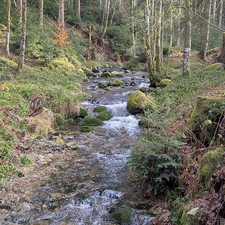 Hautes Vosges - Ecrin De Nature - Gerardmer Apartman