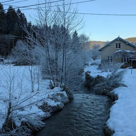 Hautes Vosges - Ecrin De Nature - Gerardmer * Le Tholy