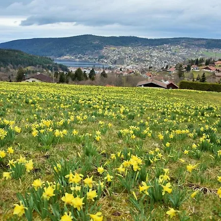 Hautes Vosges - Ecrin De Nature - Gerardmer Le Tholy
