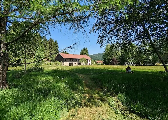 Hautes Vosges - Ecrin De Nature - Gerardmer * Le Tholy