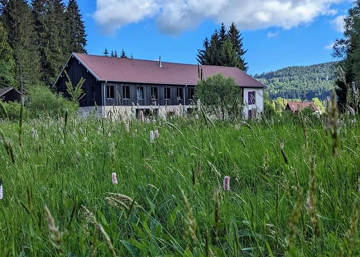 Hautes Vosges - Ecrin De Nature - Gerardmer * Le Tholy