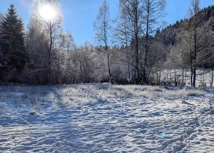Hautes Vosges - Ecrin De Nature - Gerardmer *