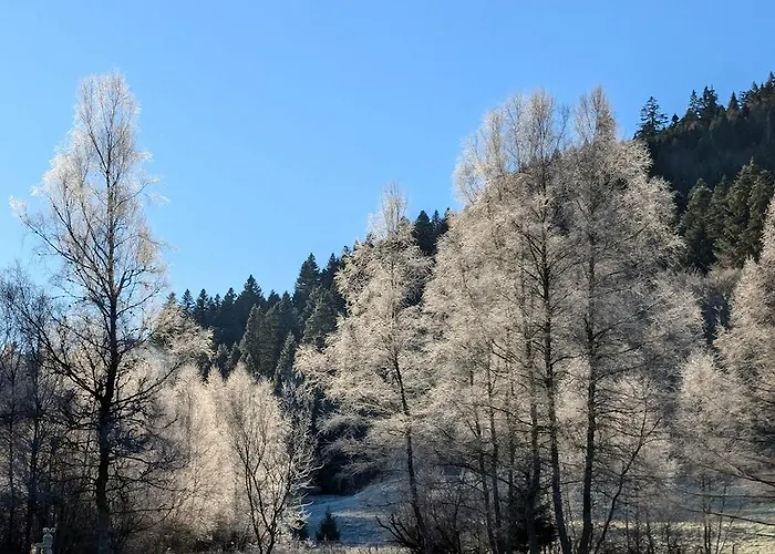 Hautes Vosges - Ecrin De Nature - Gerardmer