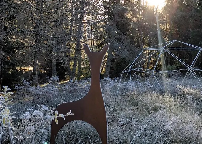 Hautes Vosges - Ecrin De Nature - Gerardmer Apartment