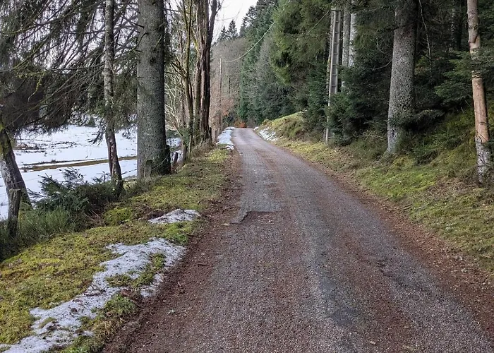Hautes Vosges - Ecrin De Nature - Gerardmer Apartment Le Tholy