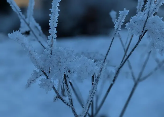 Hautes Vosges - Ecrin De Nature - Gerardmer