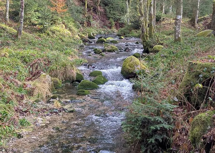 Hautes Vosges - Ecrin De Nature - Gerardmer Apartment