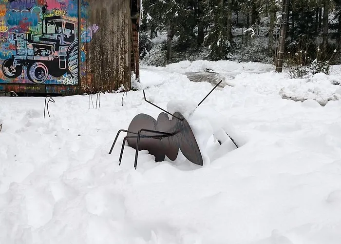 Apartment Hautes Vosges - Ecrin De Nature - Gerardmer Le Tholy