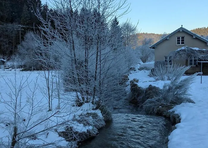 Hautes Vosges - Ecrin De Nature - Gerardmer * Le Tholy