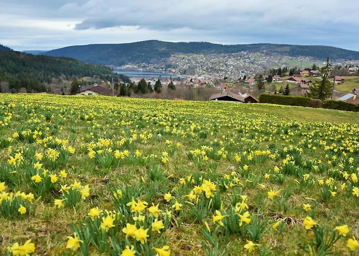 Hautes Vosges - Ecrin De Nature - Gerardmer Le Tholy