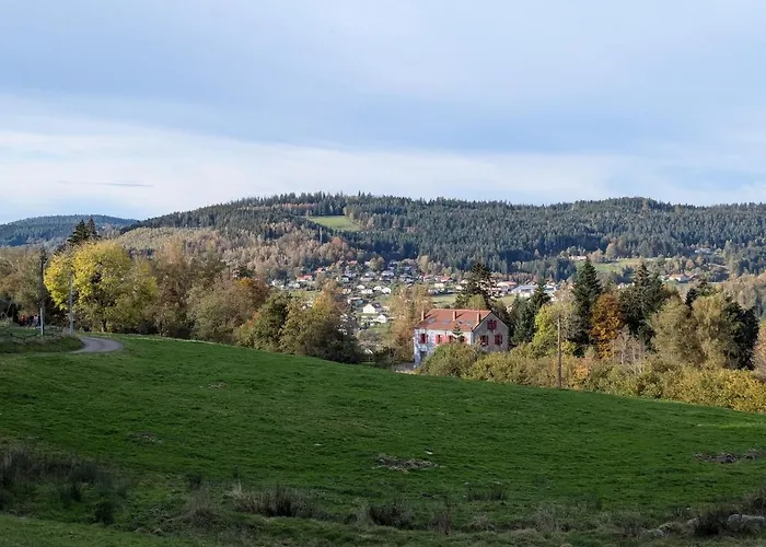 Hautes Vosges - Ecrin De Nature - Gerardmer Apartment