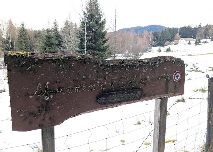 Hautes Vosges - Ecrin De Nature - Gerardmer Apartment *