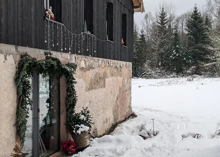 Apartment Hautes Vosges - Ecrin De Nature - Gerardmer