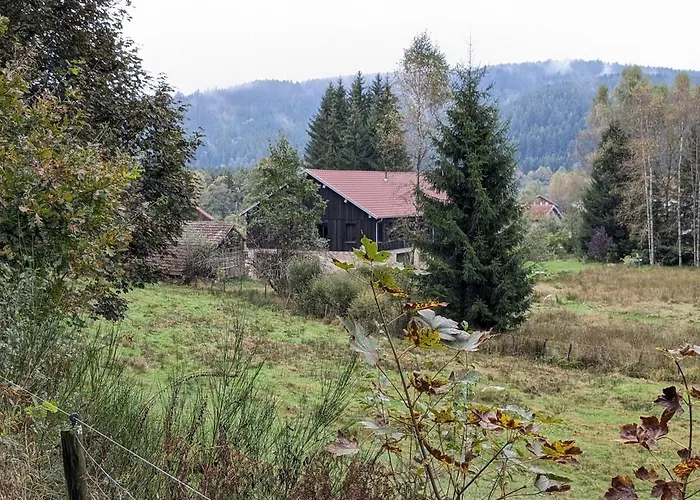 Hautes Vosges - Ecrin De Nature - Gerardmer Apartment Le Tholy